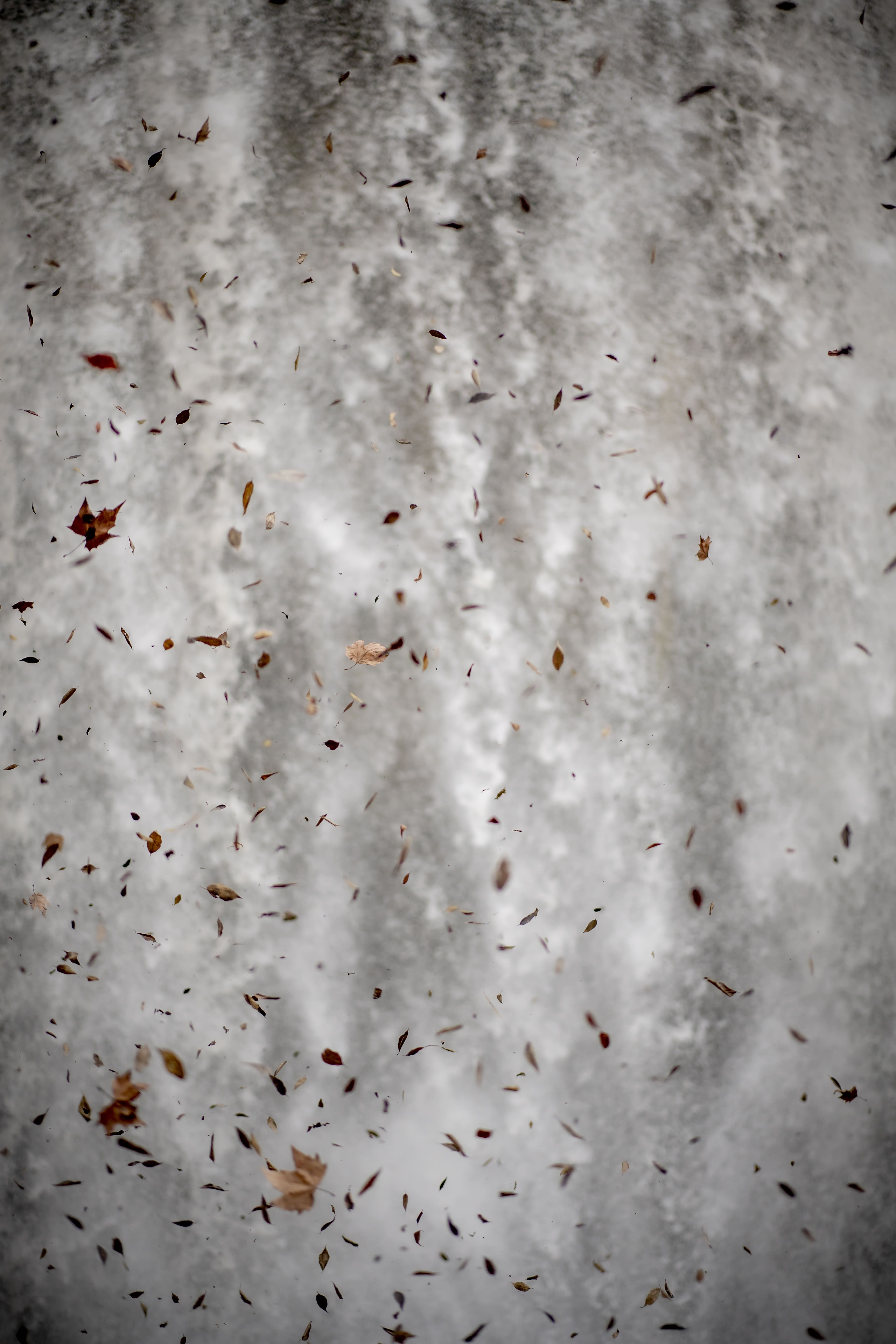 Limbela - Ruina de Naturaleza - Eventos y Bodas Boutique(12).jpg