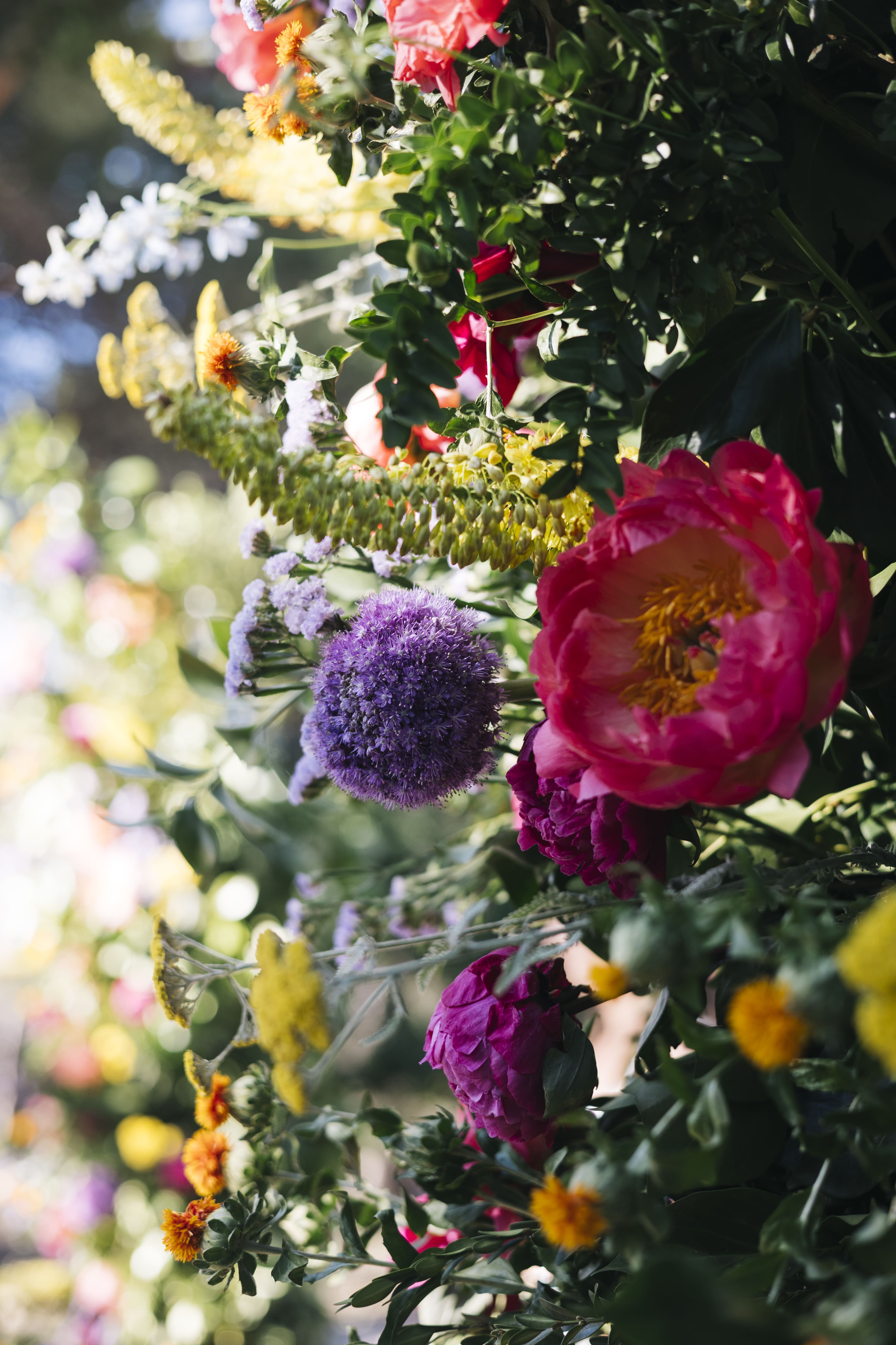 Limbela - Bosque Encantado(3).jpg