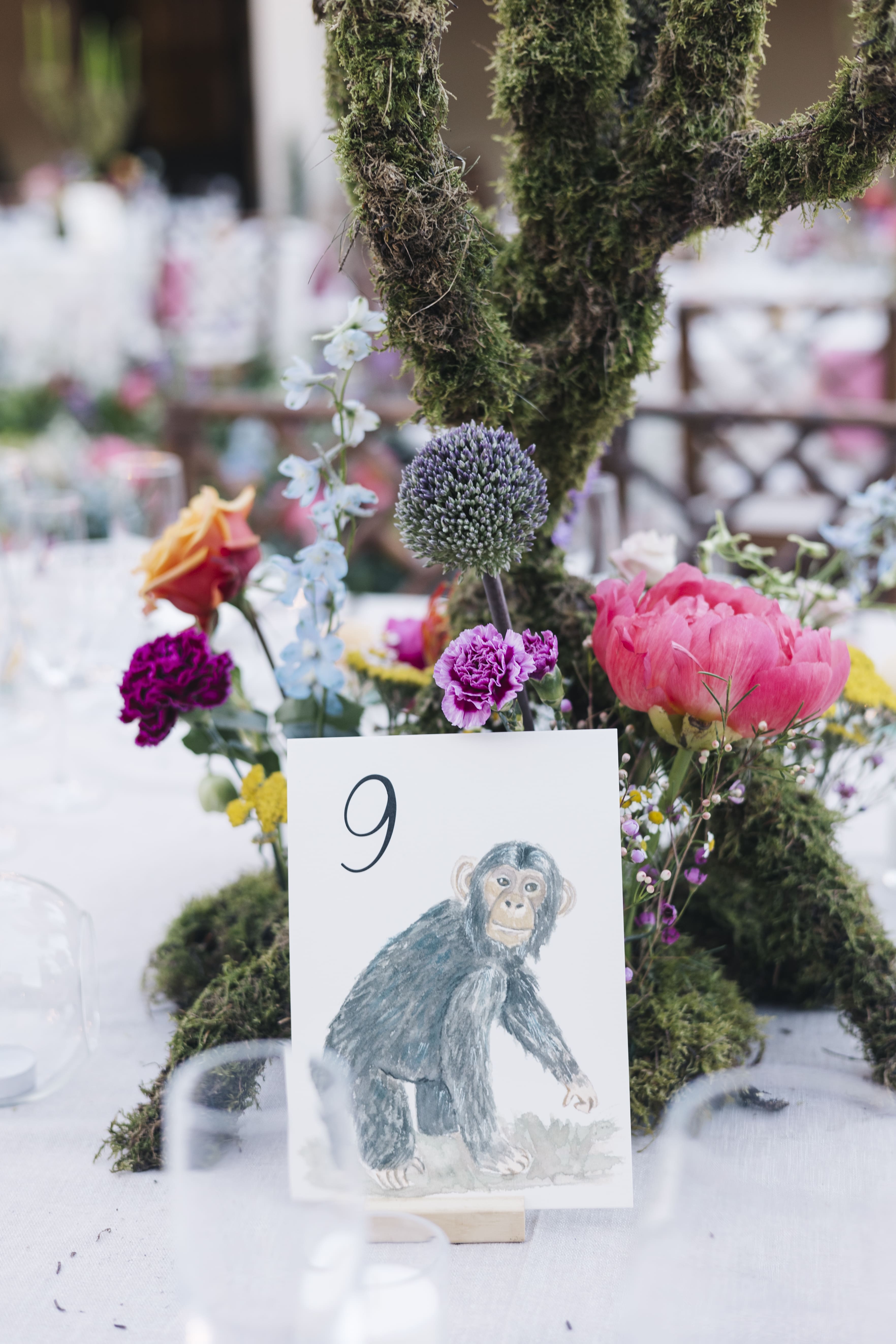 Limbela - Bosque Encantado(17).jpg