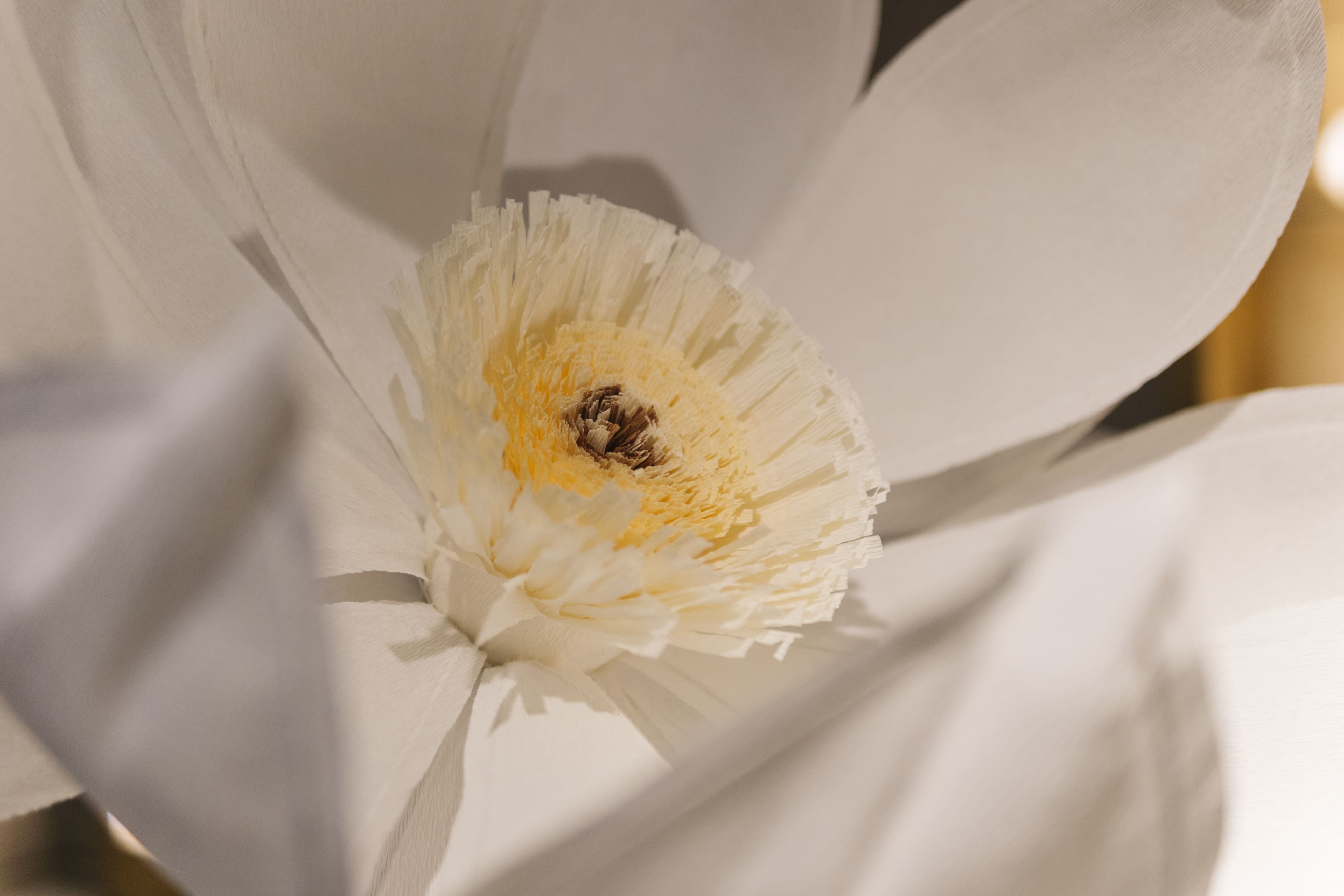 LIMBELA EVENTOS(1).jpg