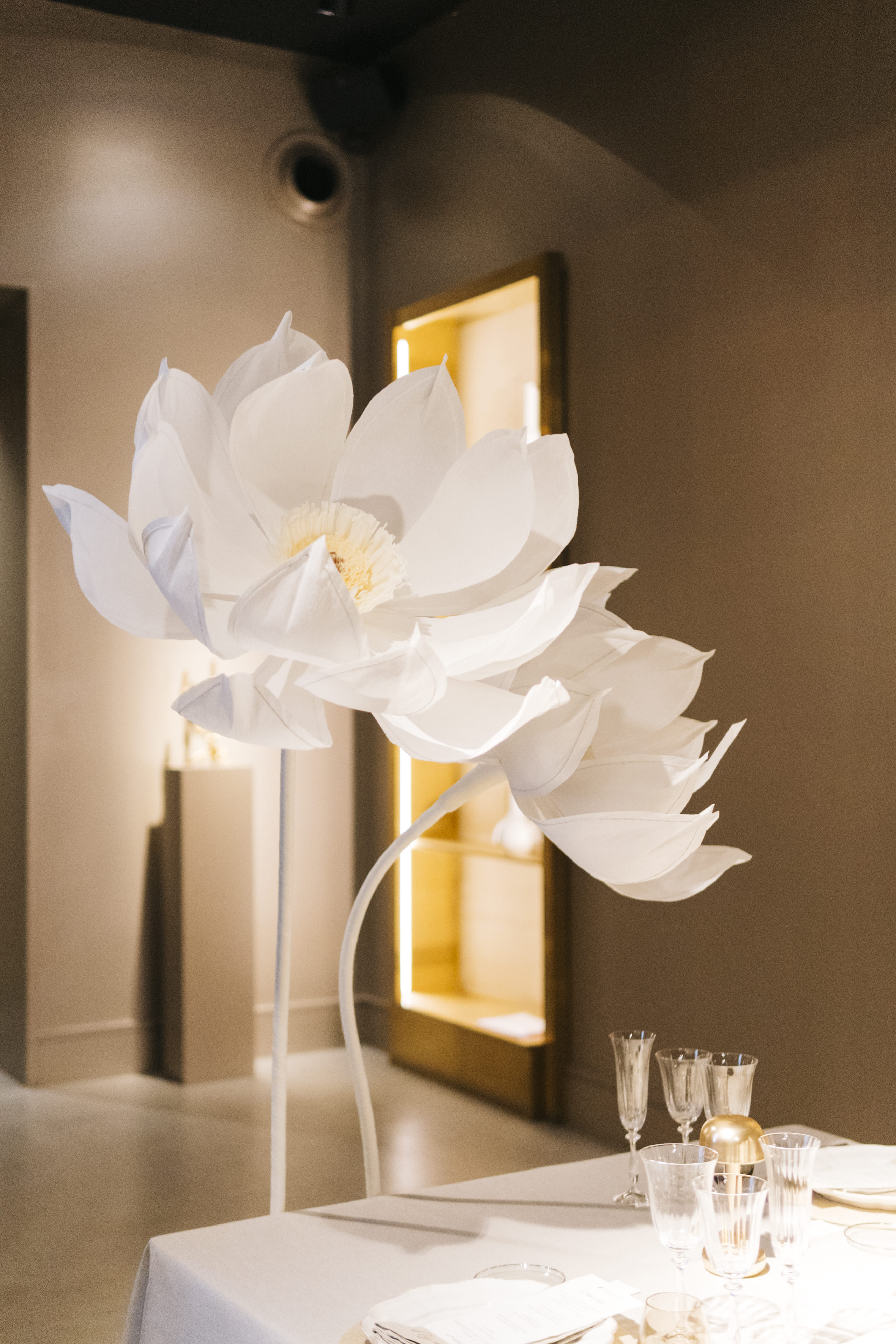 LIMBELA EVENTOS(5).jpg