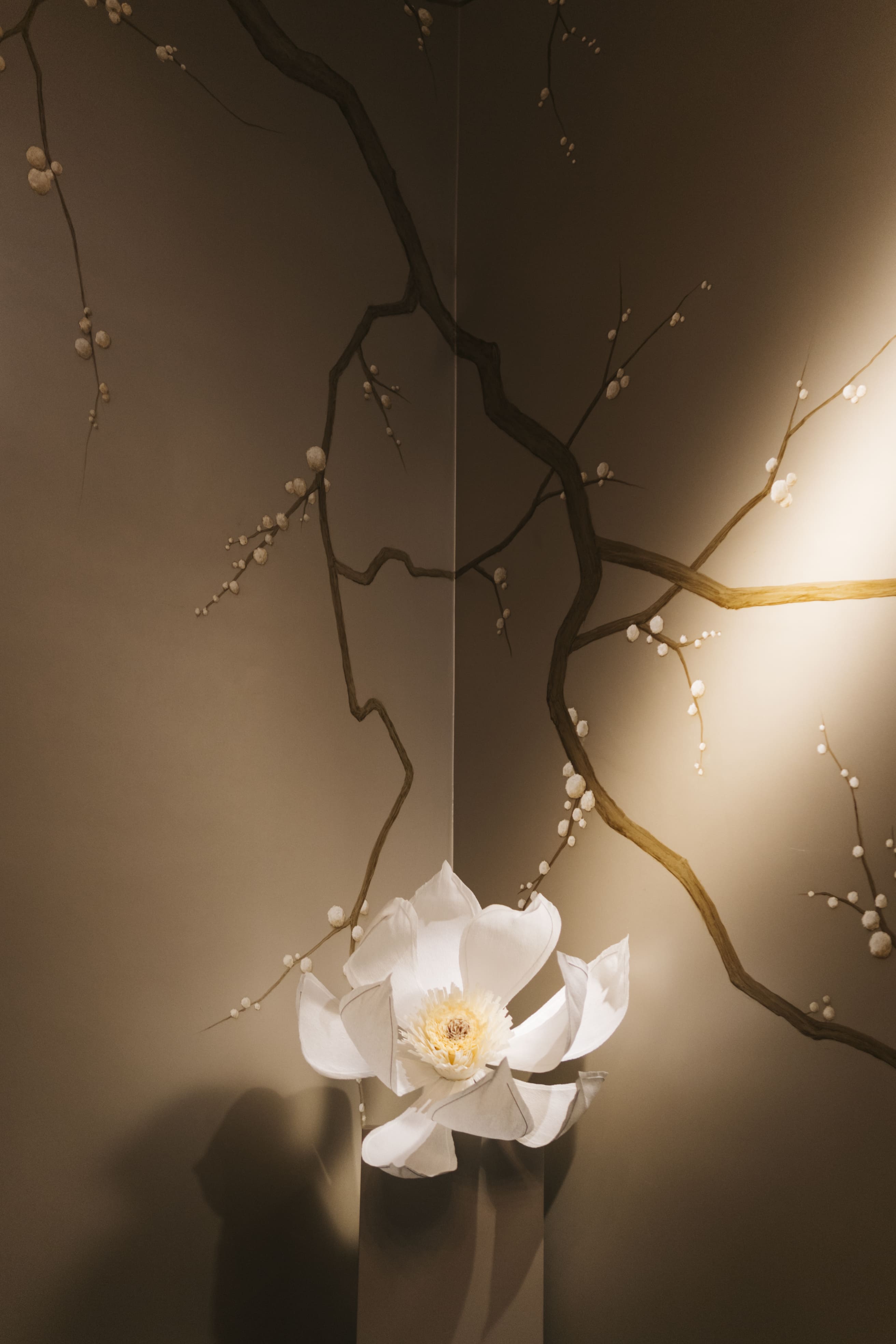 LIMBELA EVENTOS(12).jpg